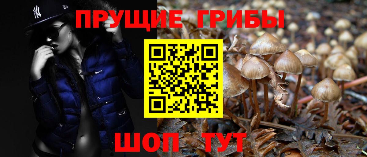 Галлюциногенные грибы Cubensis  Вход с VPN  наркота  Ярцево 